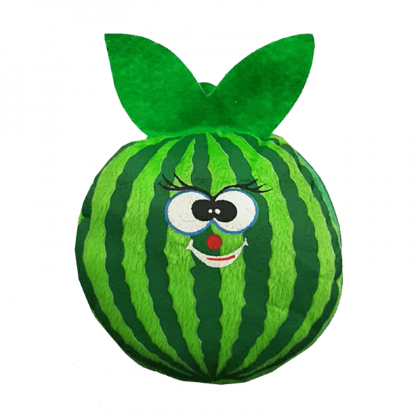 vd-dvd-bag-24-Watermelon-ecupkala-2